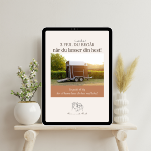 Hvordan læsser man en hest i trailer