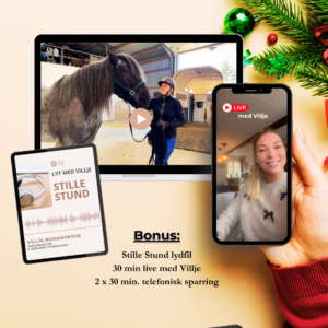 Advent - Læsning med Lethed